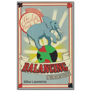 The Complete Book on Balancing In Contract Bridge - Mike Lawrence (Revised Edition)