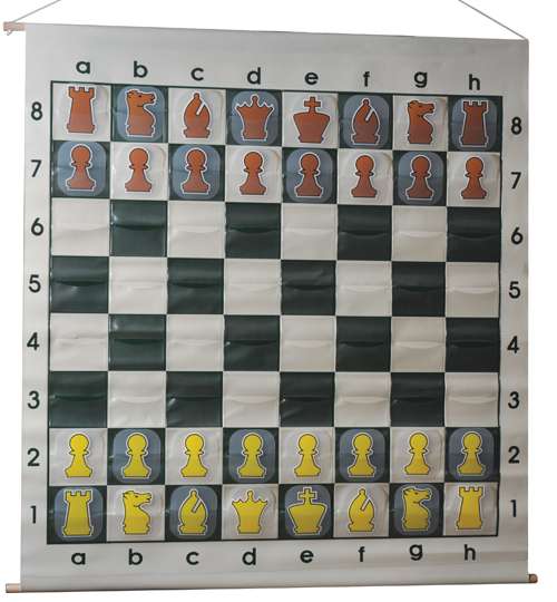 Demo 1a: Large Slot-in Chess Demonstration Board