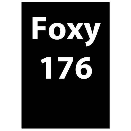 Foxy 176: Play the London System Like Kamsky and Kramnik for the Tournament Player Part 2 (DVD)