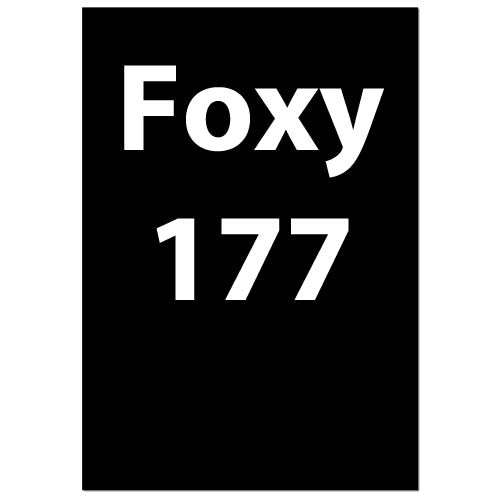 Foxy 177: Play the London System Like Kamsky and Kramnik for the Tournament Player Part 3 (DVD)