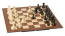 DGT Smart Board & Plastic Pieces with DGT Pi Chess Computer