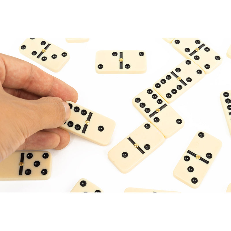 Professor Puzzle Dominoes