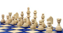 Major Magnetic Folding Travel Chess Set - Blue
