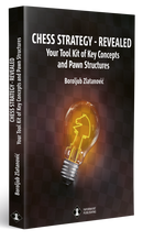 Chess Strategy: Revealed - Boroljub Zlatanović