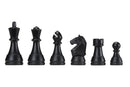 DGT Chess Box Set