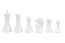 DGT Chess Box Set