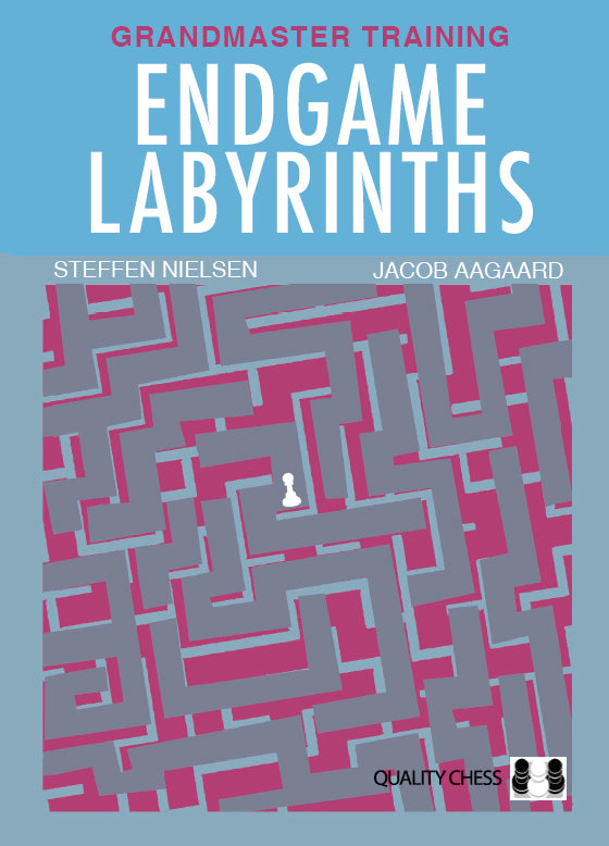 Endgame Labyrinths - Aagaard & Nielsen