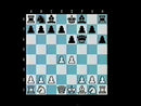 Foxy 5: Annoying d-pawn Openings - IM Andrew Martin