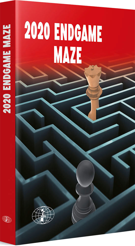 2020 Endgame Maze - Ivan Ivanisevic