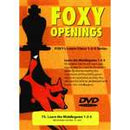 Foxy 73: Learn the Middlegame 1-2-3 - Martin (51 mins)