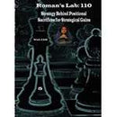 Roman's Lab 110: Strategy Behind Positional Sacrifices for Strategical Gains