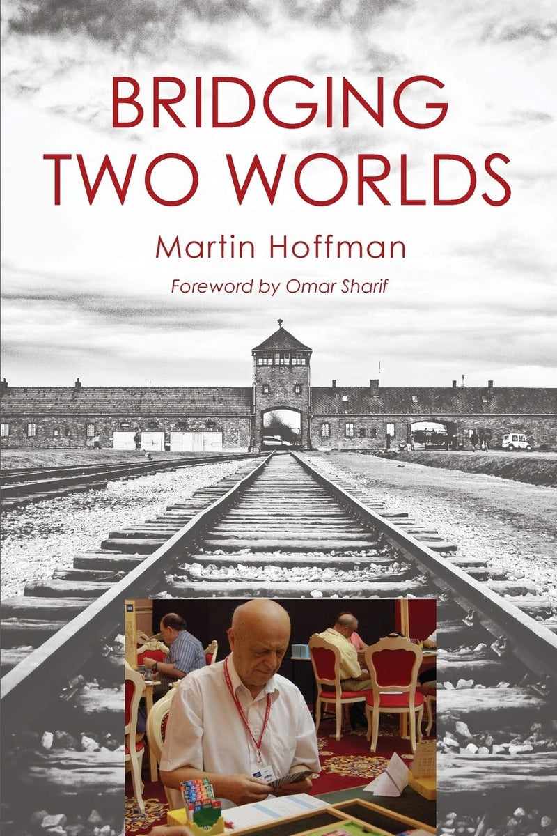 Bridging Two Worlds - Martin Hoffman